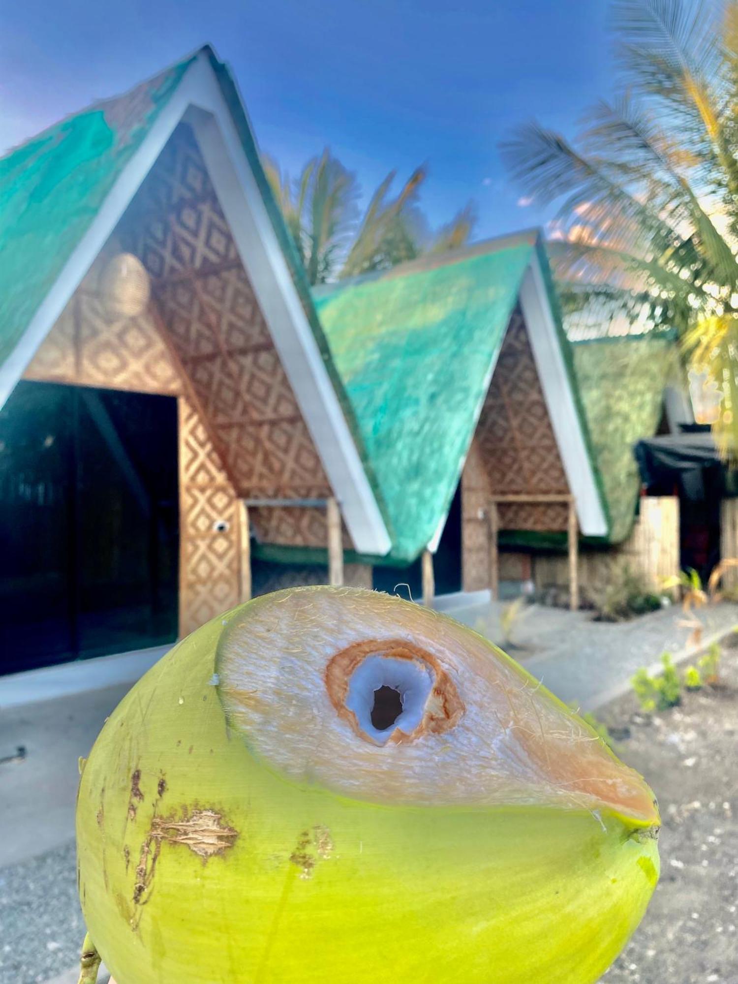 Villa Lovi Panagsama Beach Moalboal Kültér fotó
